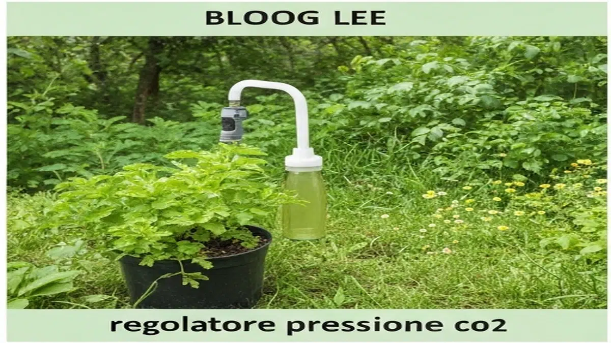 Regolatore pressione co2 bombola - Guida Completa 2025